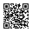 AutoHideDesktopIcons v6.26-趣奇资源网-第11张图片
