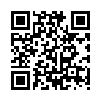 PC微信WeChat v4.1.0.34绿色版-趣奇资源网-第11张图片