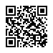 轻量BT下载qBittorrent v5.2.1增强便携版-趣奇资源网-第11张图片