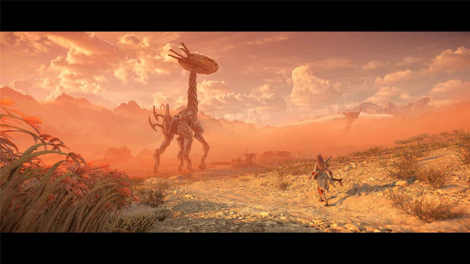 《地平线西之绝境》v1.4.80完整版-趣奇资源网-第5张图片 《地平线西之绝境》v1.4.80完整版-趣奇资源网-第5张图片